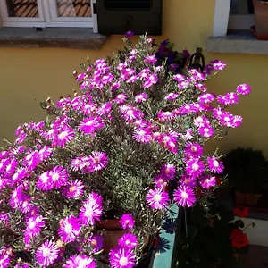 Appartement Casa Azzurra, Menaggio